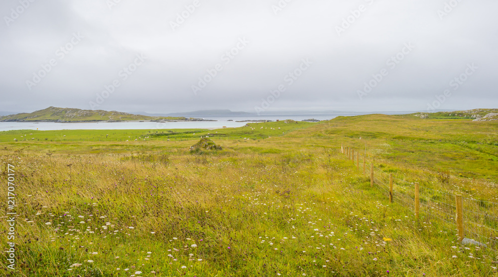 Obraz premium Panorama of the coast of an irish island in the atlantic ocean in summer