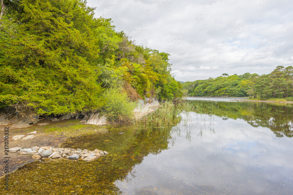 Panorama of edge and surroundings of a lake in a national park in summer