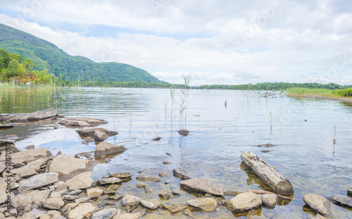 Panorama of edge and surroundings of a lake in a national park in summer photo