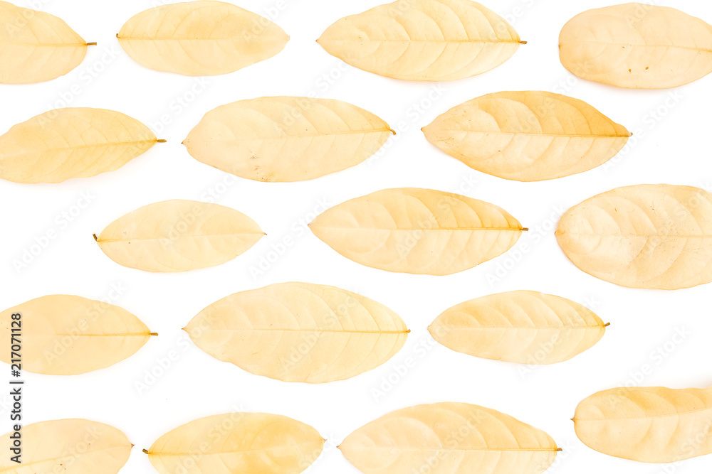 Autumn composition made of yellow dried leaves on white background. Flat lay, top view. Close up view