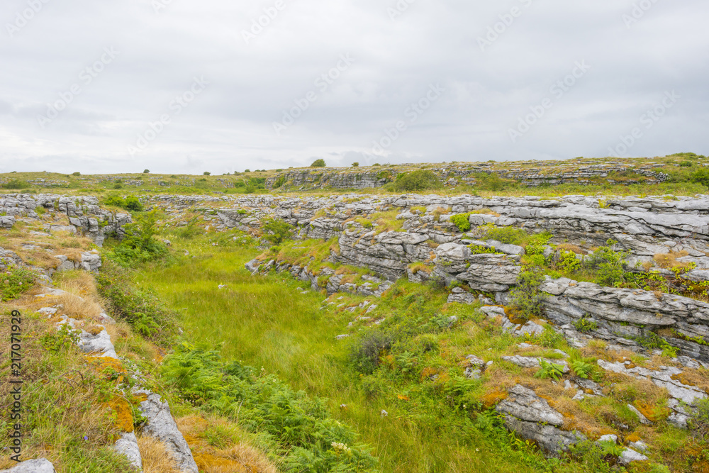 The karst landscape of national park the Burren In Ireland The karst landscape of national park the Burren In Ireland