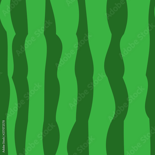Watermelon realistic texture,seamless pattern background. Green watermelon striped background of summer. Vector illustration.