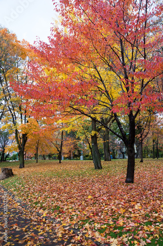 秋の公園