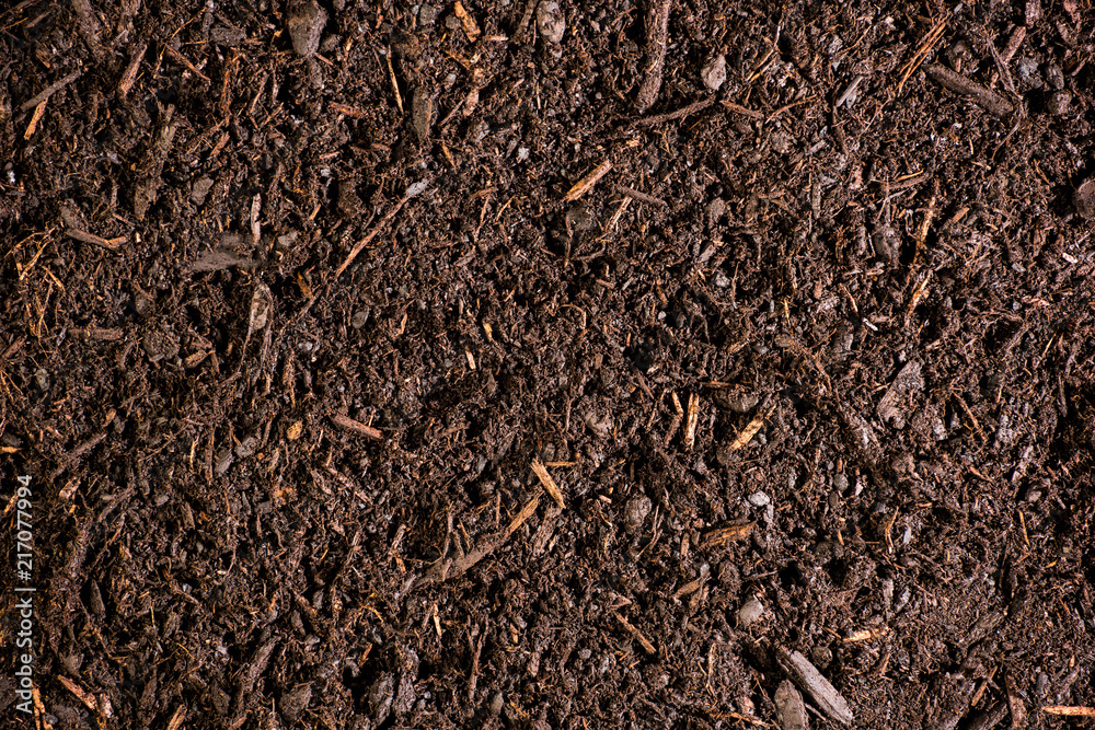Fototapeta premium Brown Mulch