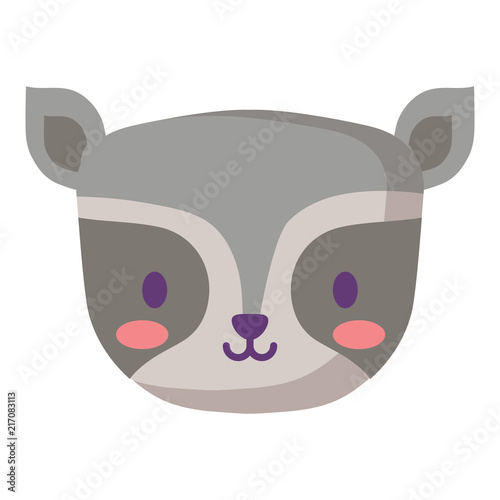 cute raccoon icon over white background, vector illustration
