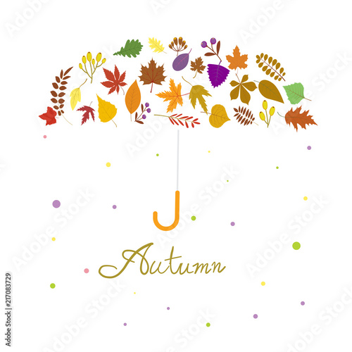 hand writing  Autumn text  boder  Banner umbrella premium on white background