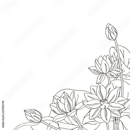 vector contour lotus Chinese Asian flowers meditation sign coloring book