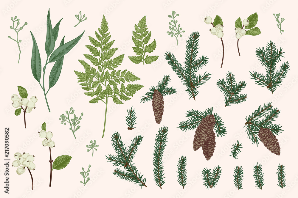 Set with winter plants.