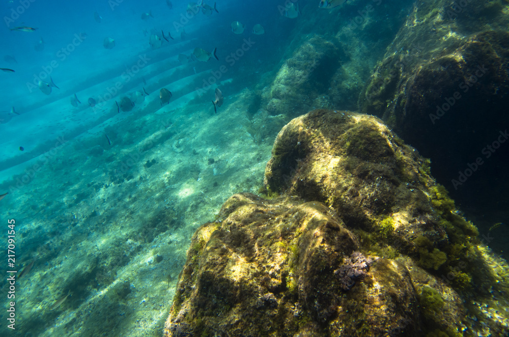 Fototapeta premium Underwater landscape with rocks and fish