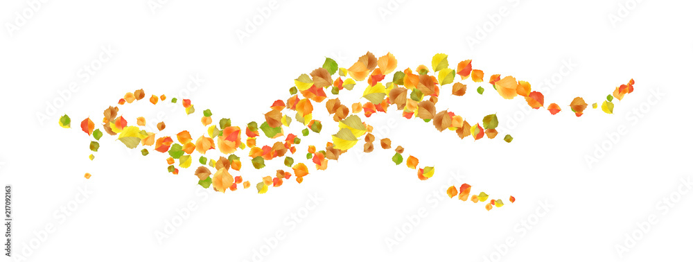 Autumn Flying Leaves