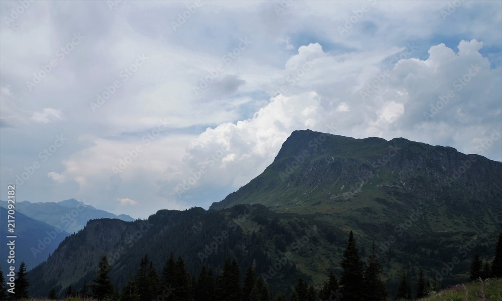Berge Panorama Alm