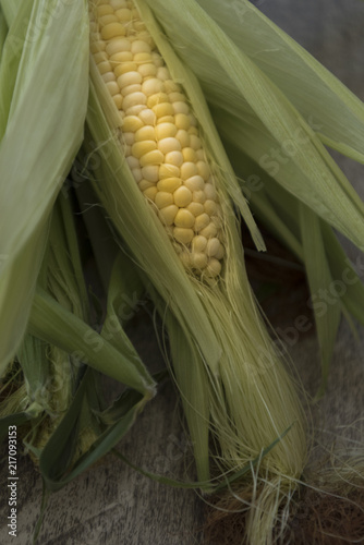 Organic and fresh corn on cob