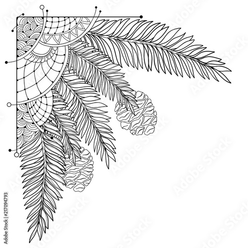 Vector corner branch of outline Sequoia or California redwood isolated on white background. Bunch of coniferous tree with pine and cones in contour style for floral design and coloring book.