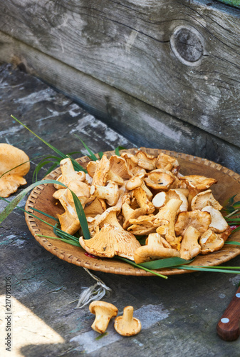 Chanterelle mushrooms in a bowl on a wooden background