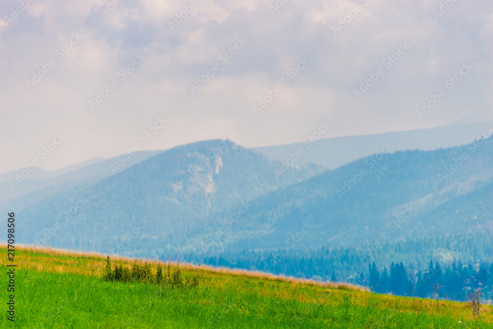 expanses - a beautiful landscape of the field, mountains, forests in the haze