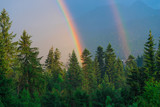 a beautiful natural phenomenon, two rainbows against the backdrop of mountains covered with forest after rain