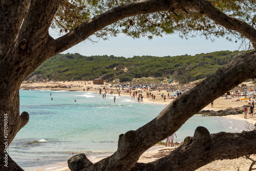 View through the branches of a tree to the beach and the Mediterranean Sea with visitors from Cala Agulla with a wooden hut on the Spanish holiday island Mallorca