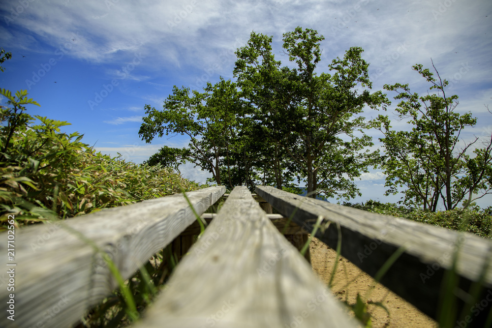 Fototapeta premium 北アルプス 燕岳 大天井岳 槍ヶ岳 表銀座縦走 39