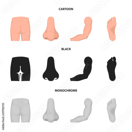 Buttocks, nose, arm, foot. Part of the body set collection icons in cartoon,black,monochrome style vector symbol stock illustration web.