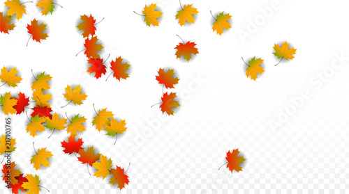 September Vector Background with Golden Falling Leaves. Autumn Illustration with Maple Red, Orange, Yellow Foliage. Isolated Leaf on Transparent Background. Bright Swirl. Suitable for Posters.