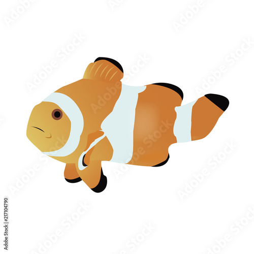 クマノミ