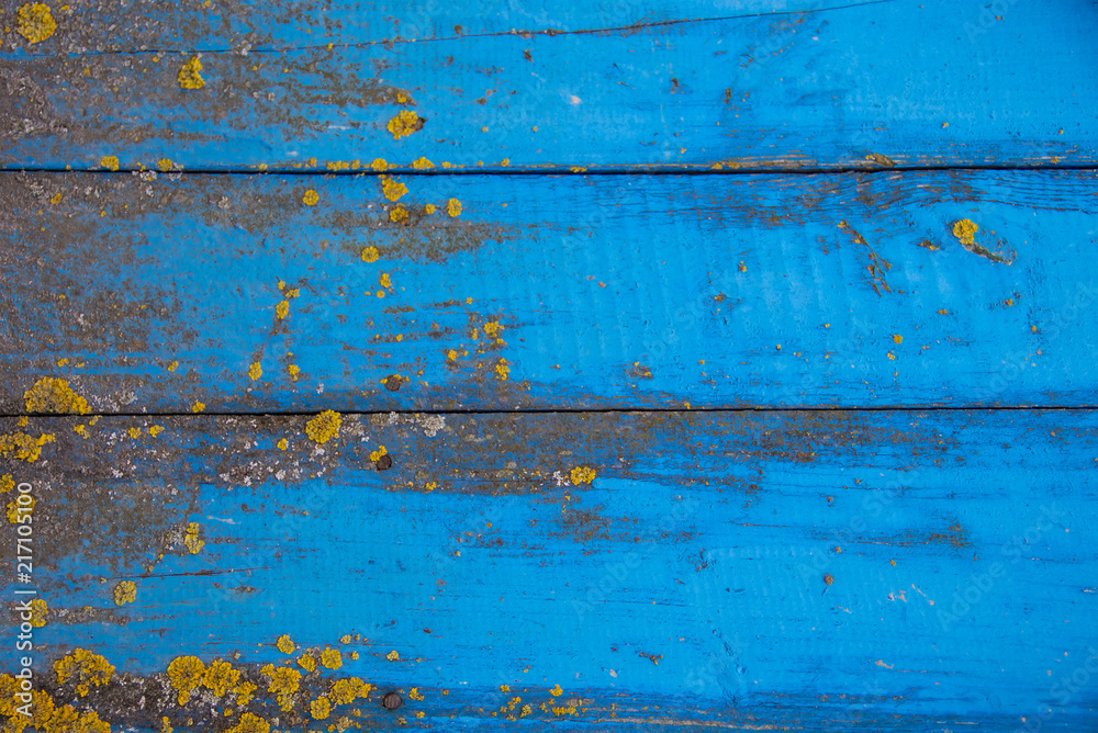 Blue horizontal background of old wood boards and moss Blue horizontal background of old wood boards and moss