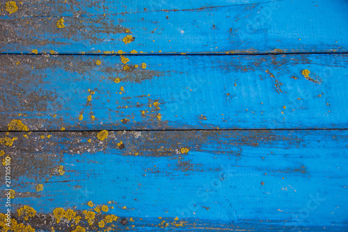 Blue horizontal background of old wood boards and moss