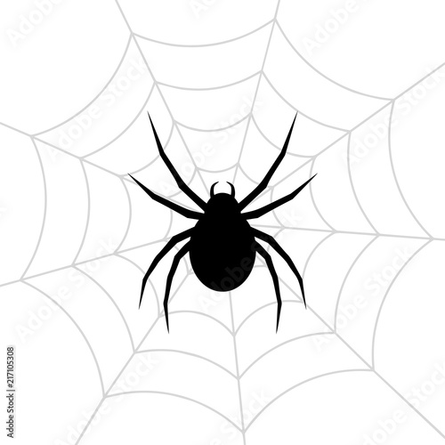Spider web stock vector illustration