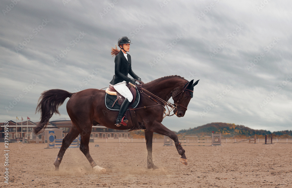 Equestrian sport Equestrian sport