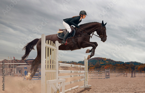 Equestrian sport photo