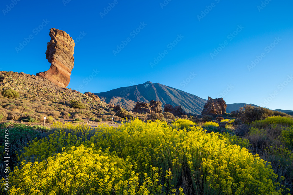 Fototapeta Widok unikalnej formacji skalnej Roques de Garcia ze słynnym szczytem wulkanu Pico del Teide w tle w słoneczny poranek. Park Narodowy Teide, Teneryfa, Wyspy Kanaryjskie, Hiszpania.