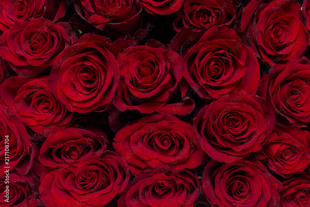 Fototapeta premium Bouquet of flowers: fresh red roses