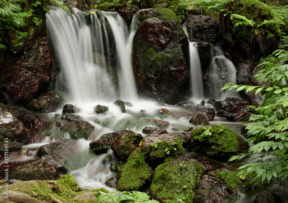 Fototapeta premium 涼一服