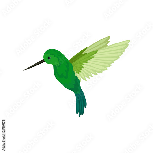 Flat vector icon of flying colibri. Small tropical hummingbird with long thin beak and bright green feathers. Wildlife theme