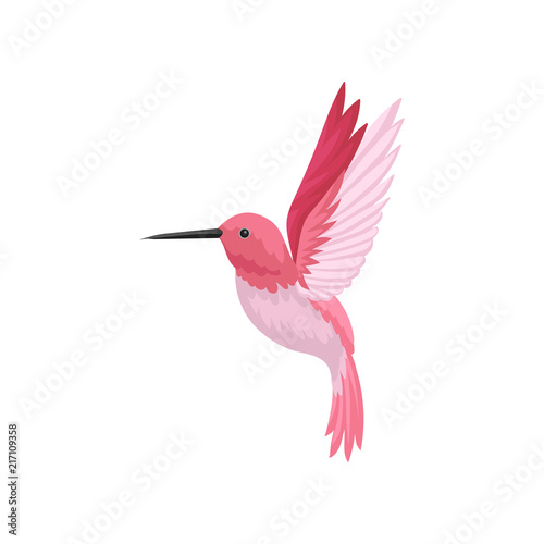 Flat vector icon of flying hummingbird. Colibri with pink feathers and long thin beak. Wildlife and fauna theme