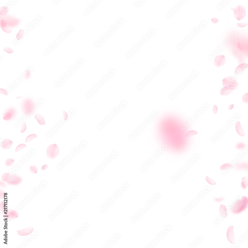 Sakura petals falling down. Romantic pink flowers borders. Flying petals on white square background.
