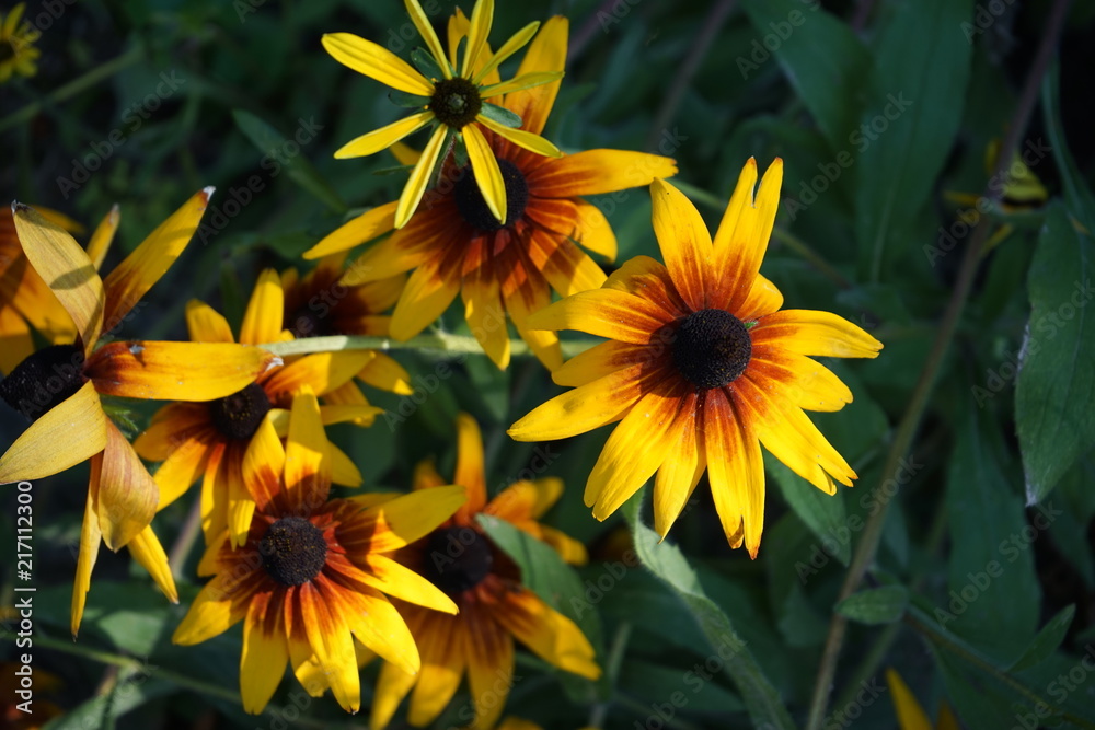 Fototapeta premium Bouquet of yellow-orange flowers