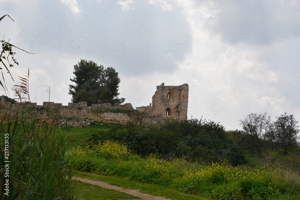 Sources of the Yarkon River