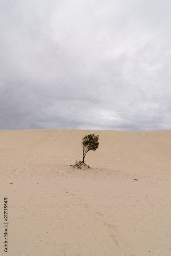 The Desert on Moreton Island in Queensland Australia