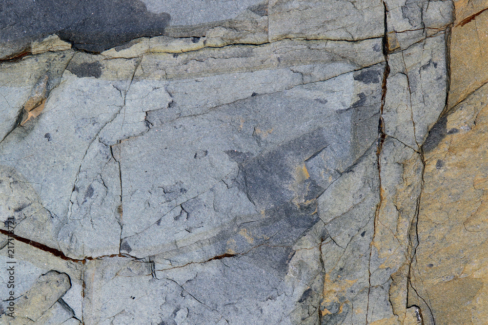 Fototapeta premium Grey sea cliff stone surface texture with cracks. Sea limestone.