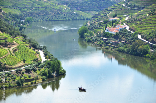 Vineyards in the valley of Douro river, Portugal