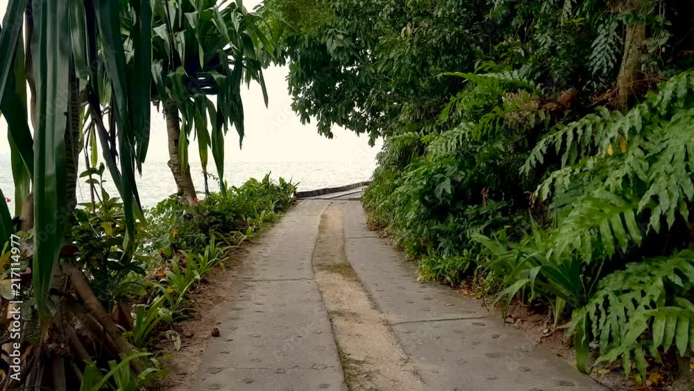 Through the trees to reveal an open never-ending ocean as far as the horizon. In a summer tropical island of Malaysia.