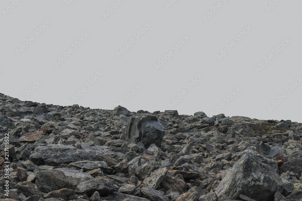 Stone cobbles on a gray background.