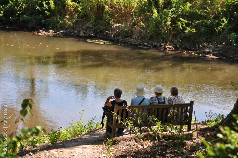 vier ältere Frauen sitzen auf Parkbank unter Bäumen am Flussufer