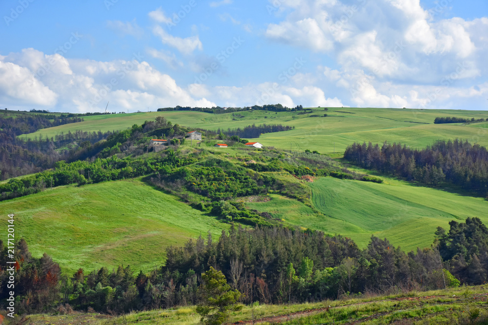 Italy, Puglia region, typical hilly landscape in spring