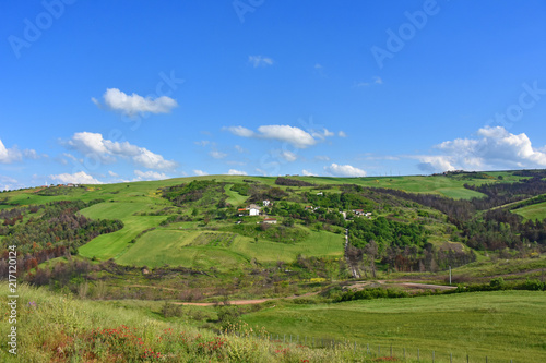 Italy  Puglia region  typical hilly landscape in spring