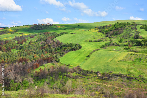 Italy, Puglia region, typical hilly landscape in spring