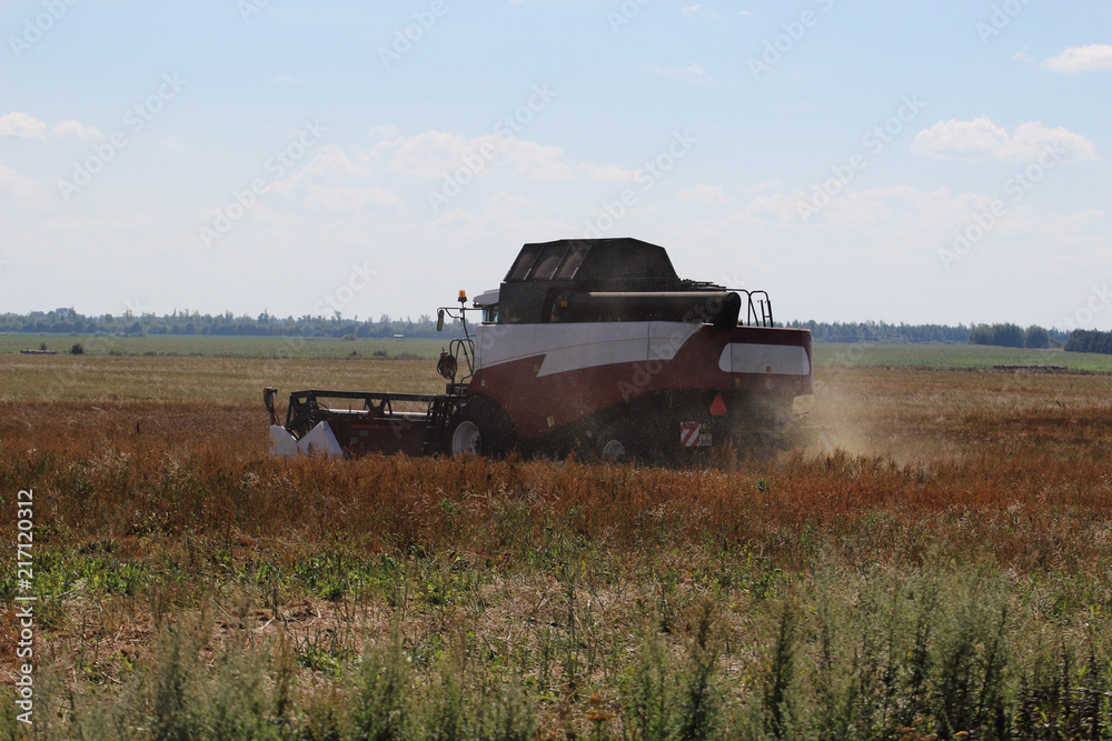 The harvesting combine in the hot summer field The harvesting combine in the hot summer field