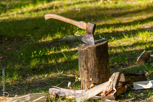 Old ax against a background of green grass