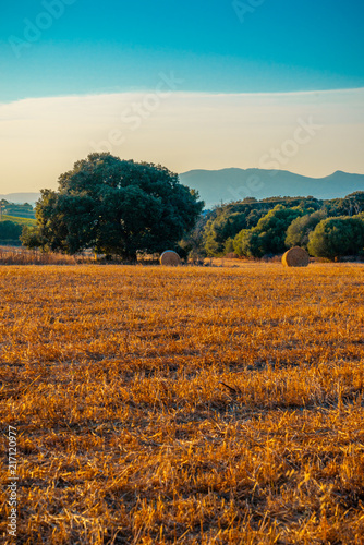 Mallorca Felder in der nähe von Capdeperra
